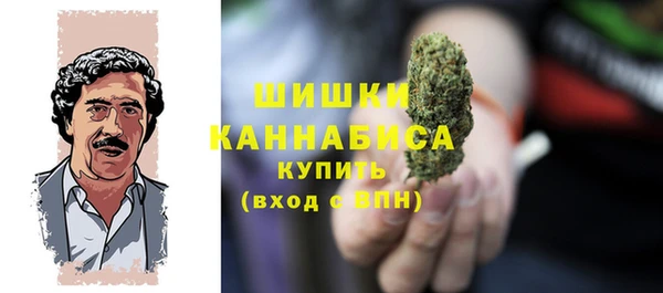 амф Верхний Тагил