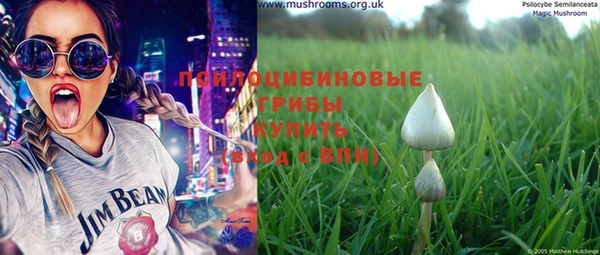 амф Верхний Тагил